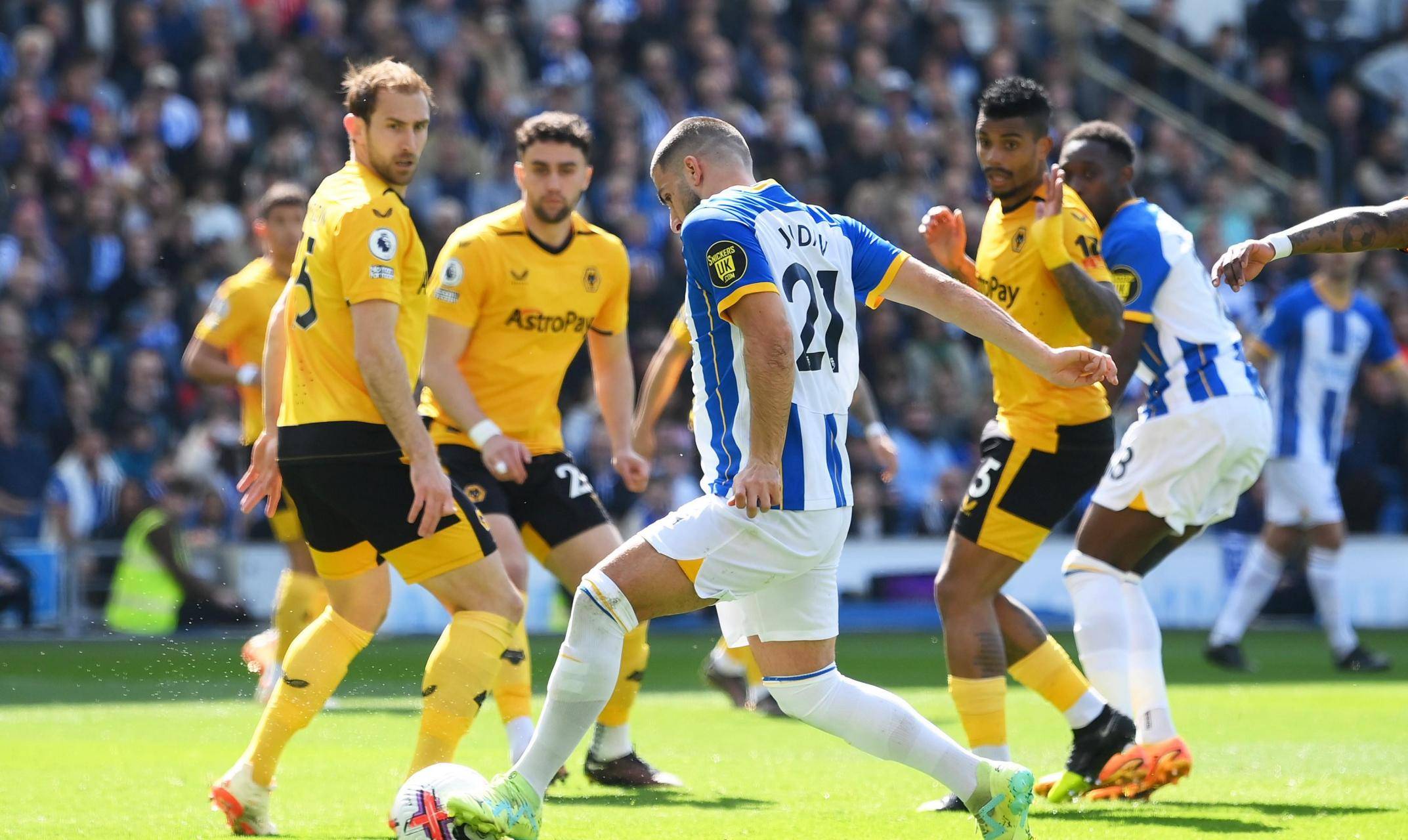 布莱顿发布备战花絮，今夜单刀错失，英超任务艰巨，团队化学反应显著的简单介绍