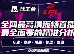 窗口期CBA常规赛传出新动向，丹佛掘金调整名单，管理层表态——话题不断，身体对抗强度拉满的简单介绍