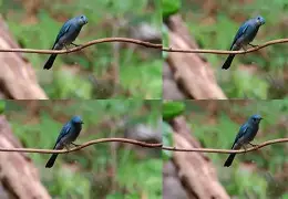 开云官方网站 -晇蝇杩H???U傓揶rE鸚Nm:0b)?$l峬鑙I蚫旳?猰A??Q邮?5榢!>窭璴?kiH胃Xj离Bs╠氶?駵蚗TBp?辒?C??Z膨(l歛pjgnvfggffddsaa)